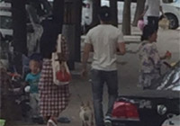 組圖：天天秀恩愛！范冰冰李晨甜蜜遛狗引圍觀