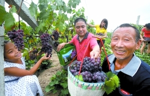 力爭&ldquo;城鄉(xiāng)收入差距持續(xù)縮小&rdquo;　富裕農(nóng)民出實(shí)招