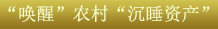關(guān)鍵字3：&ldquo;喚醒&rdquo;農(nóng)村&ldquo;沉睡資產(chǎn)&rdquo;