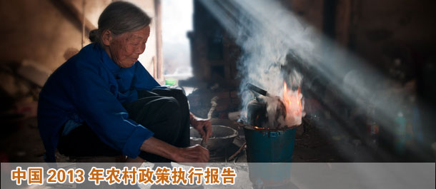 中國農(nóng)村政策執(zhí)行報告