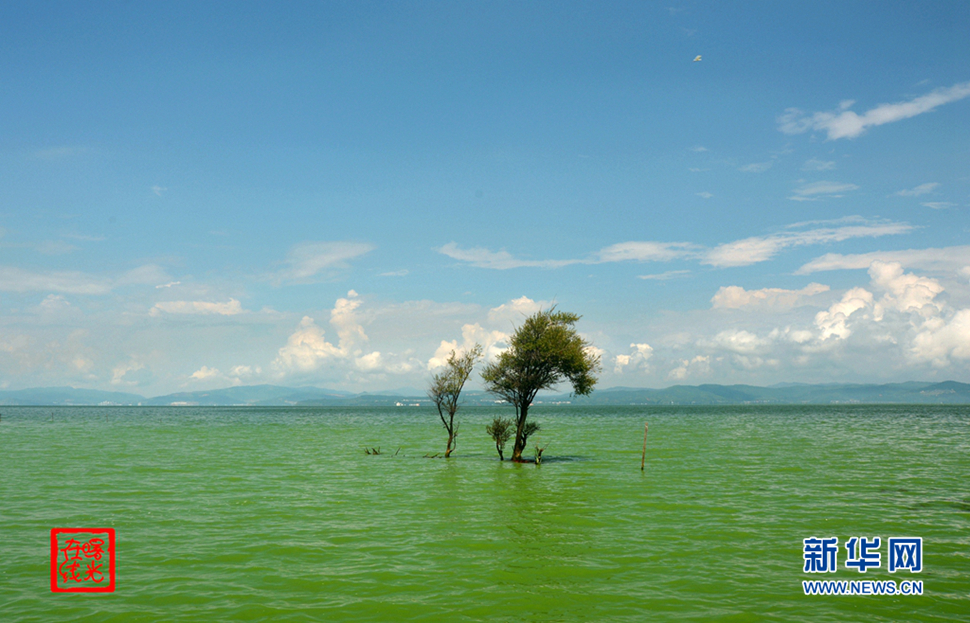 陽光昆明，爽爽的春城