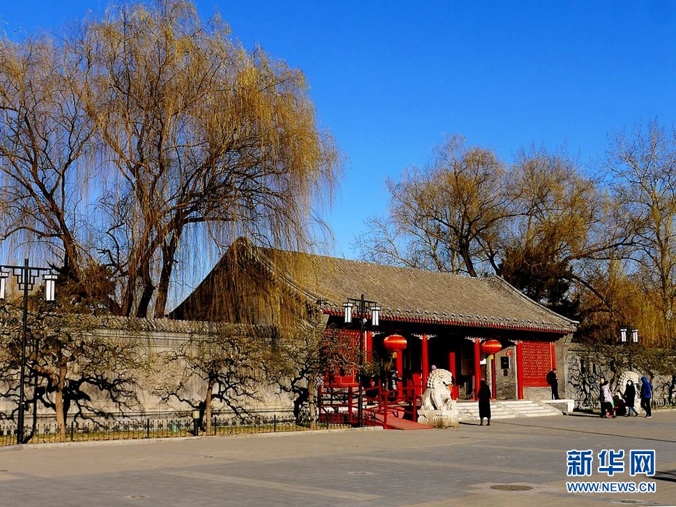 冬至，漫步大觀園