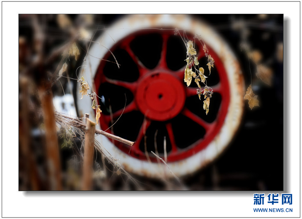 《遺世流年抹滄?！?>	</a></div>
</div>
<div   id=