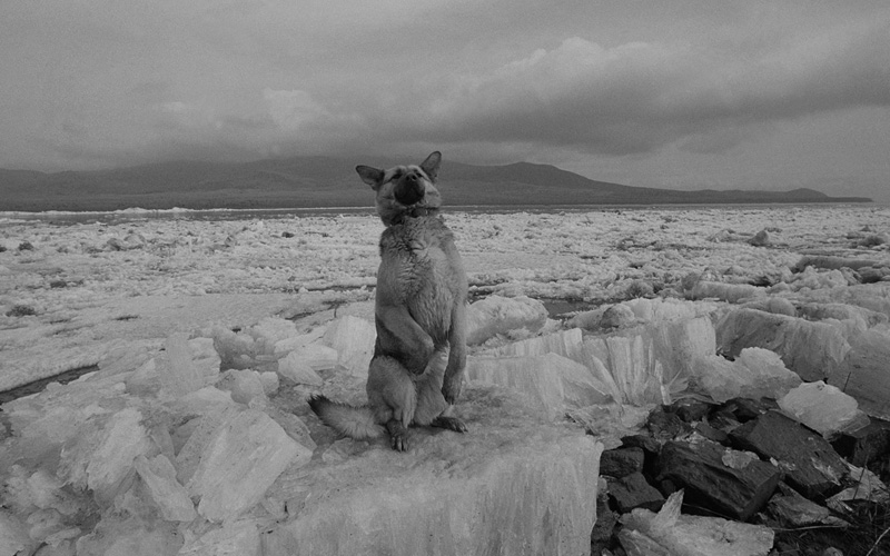 線云強(qiáng)作品:東方第一哨，最早迎接太陽的士兵