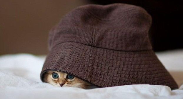 老外搞怪！facebook插圖欣賞(組圖)