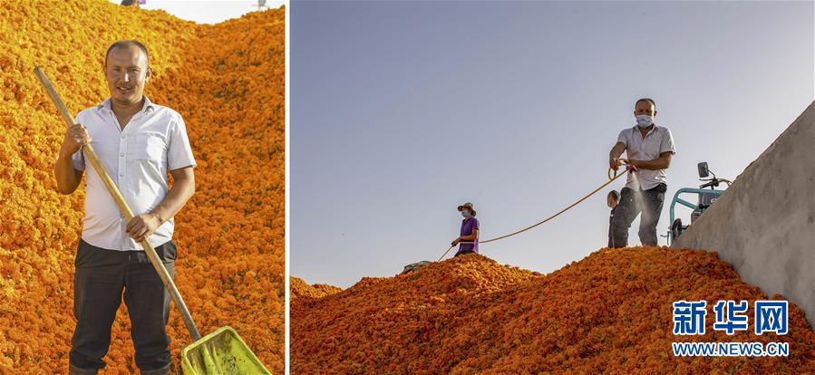 （脫貧攻堅&middot;圖片故事）（6）脫貧靠雙手&mdash;&mdash;新疆和田地區(qū)未摘帽縣就業(yè)見聞