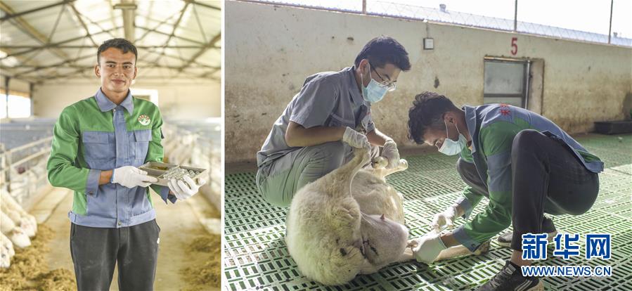 （脫貧攻堅(jiān)&middot;圖片故事）（9）脫貧靠雙手&mdash;&mdash;新疆和田地區(qū)未摘帽縣就業(yè)見(jiàn)聞