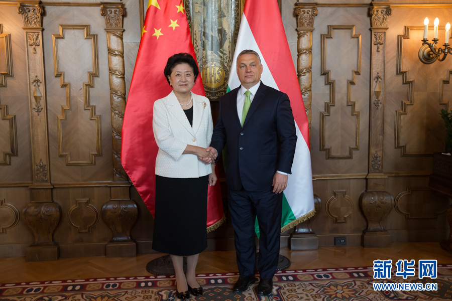  6月21日，國務(wù)院副總理劉延?xùn)|（左）在匈牙利布達(dá)佩斯國會(huì)大廈會(huì)見匈牙利總理歐爾班。 新華社發(fā)（弗爾季&middot;奧蒂洛攝）