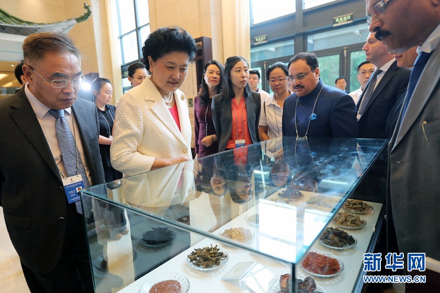 7月6日，金磚國(guó)家衛(wèi)生部長(zhǎng)會(huì)暨傳統(tǒng)醫(yī)藥高級(jí)別會(huì)議在天津開(kāi)幕。這是國(guó)務(wù)院副總理劉延?xùn)|與外賓一起參觀傳統(tǒng)醫(yī)藥文化展。 新華社記者 張玉薇 攝