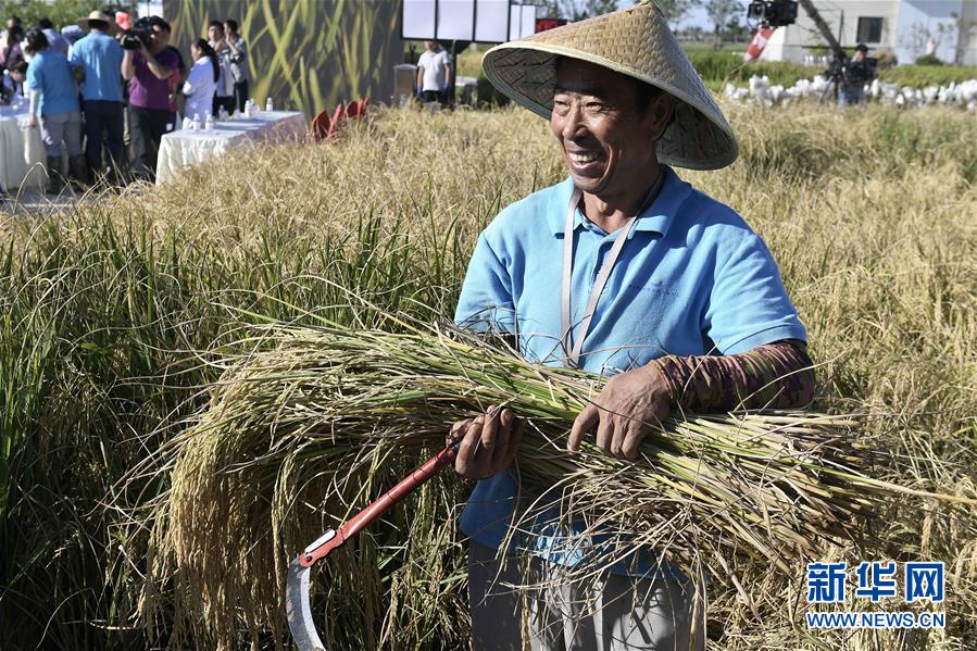（新華全媒頭條&middot;圖文互動）（2）歷史性飛躍的偉大實踐&mdash;&mdash;中國共產(chǎn)黨引領(lǐng)中國特色社會主義開辟發(fā)展新境界述評