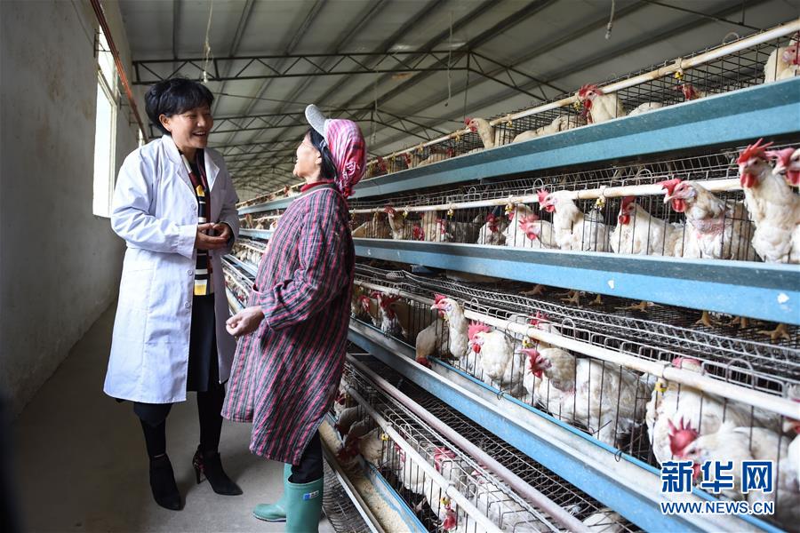 （十九大代表回基層&middot;圖文互動(dòng)）（1）擺脫貧困后，還應(yīng)有更高的精神追求&mdash;&mdash;十九大代表余留芬的&ldquo;宣講時(shí)光&rdquo;