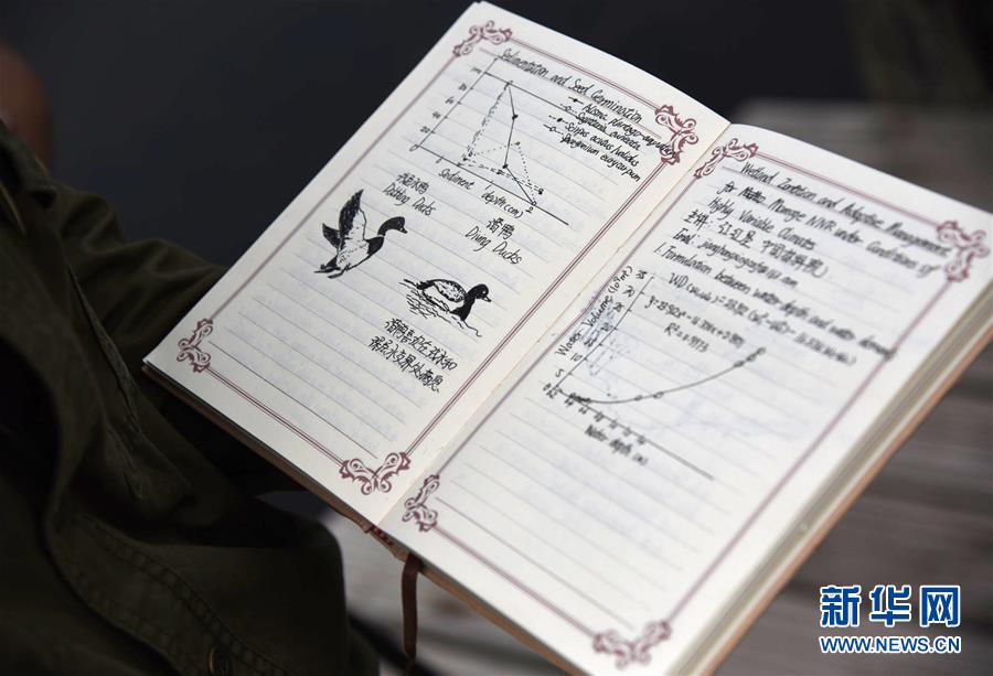 （圖文互動(dòng)&middot;新華全媒頭條）（8）一家人與一群鶴的生死相守