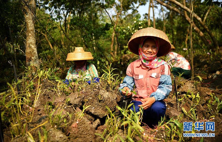 （新媒體專線）（6）立足獨(dú)特優(yōu)勢 勇立改革潮頭&mdash;&mdash;習(xí)近平總書記在海南考察回訪記