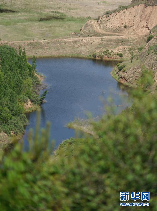 （壯闊東方潮 奮進(jìn)新時(shí)代&mdash;&mdash;慶祝改革開(kāi)放40年）（6）退耕還林20年 延安大地譜新篇