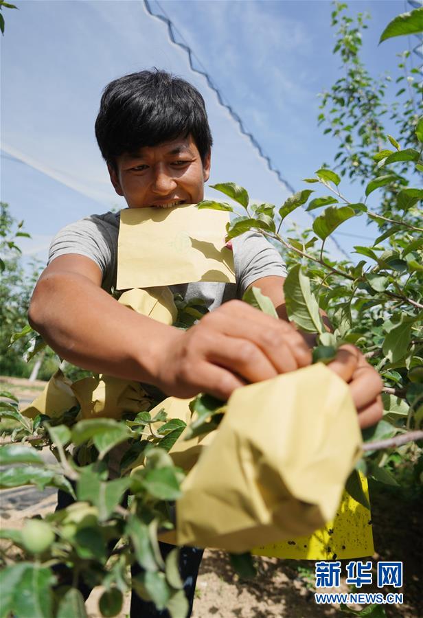 （壯闊東方潮 奮進新時代&mdash;&mdash;慶祝改革開放40年）（10）退耕還林20年 延安大地譜新篇