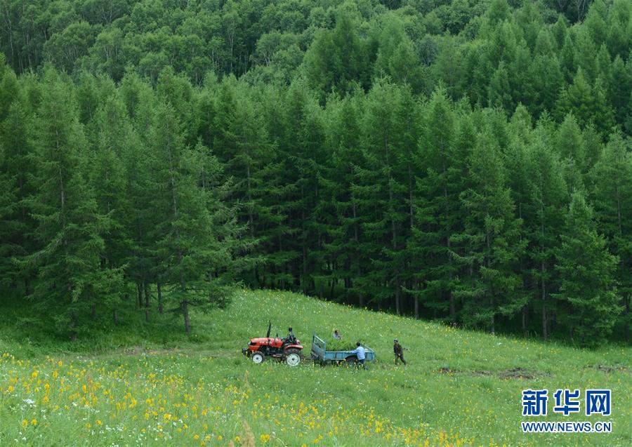 （壯闊東方潮 奮進(jìn)新時(shí)代&mdash;&mdash;慶祝改革開(kāi)放40年）（4）美麗中華大地書(shū)寫(xiě)綠色傳奇