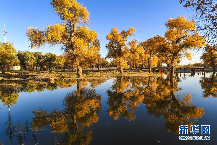 （壯闊東方潮 奮進(jìn)新時代&mdash;&mdash;慶祝改革開放40年）（14）美麗中華大地書寫綠色傳奇