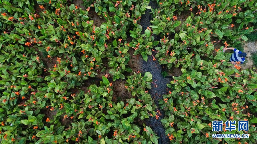 （在習(xí)近平新時代中國特色社會主義思想指引下&mdash;&mdash;新時代新作為新篇章&middot;圖文互動）（5）稀奇！治污濕地成了休閑公園&mdash;&mdash;江蘇蘇州全域推進(jìn)農(nóng)村生活污水治理
