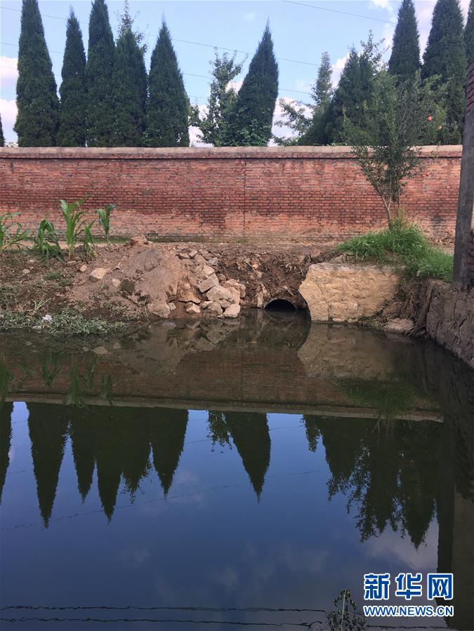 （新華視點&middot;圖文互動）（3）上游洪水來襲下游魚蟹死亡，泄洪為何變泄污？