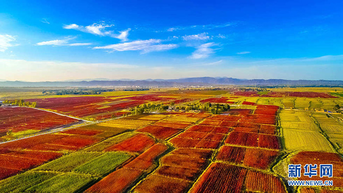 秋收的中國(guó)，你想象不到的美！但更美的是&hellip;&hellip;