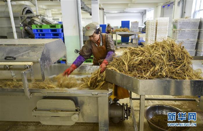 （百城百縣百企調(diào)研行&middot;圖文互動(dòng)）（5）吉林集安：邊陲&ldquo;綠色明珠&rdquo;為何如此閃亮？