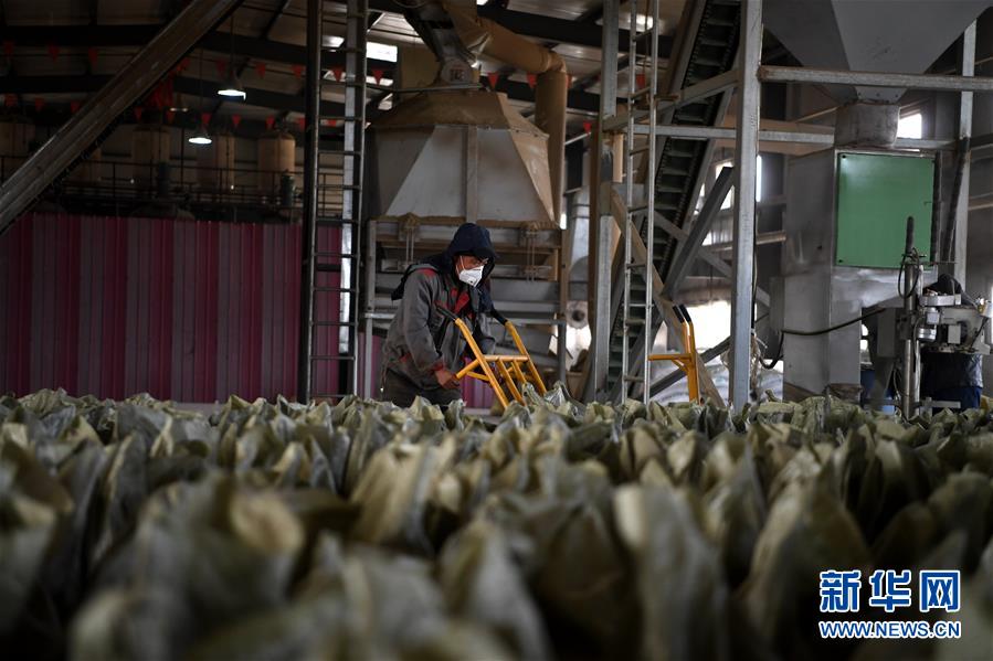 （在習(xí)近平新時(shí)代中國特色社會主義思想指引下&mdash;&mdash;新時(shí)代新氣象新作為&middot;鄉(xiāng)村振興戰(zhàn)略&middot;圖文互動）（1）&ldquo;與其放火，不如打包&rdquo;&mdash;&mdash;山西渾源秸稈綜合再利用見聞