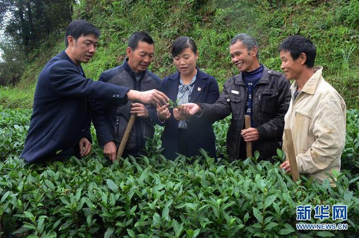 （新時代擔當作為典型風采&middot;圖文互動）（2）梁金華：為民辦事就是自己最大的價值 