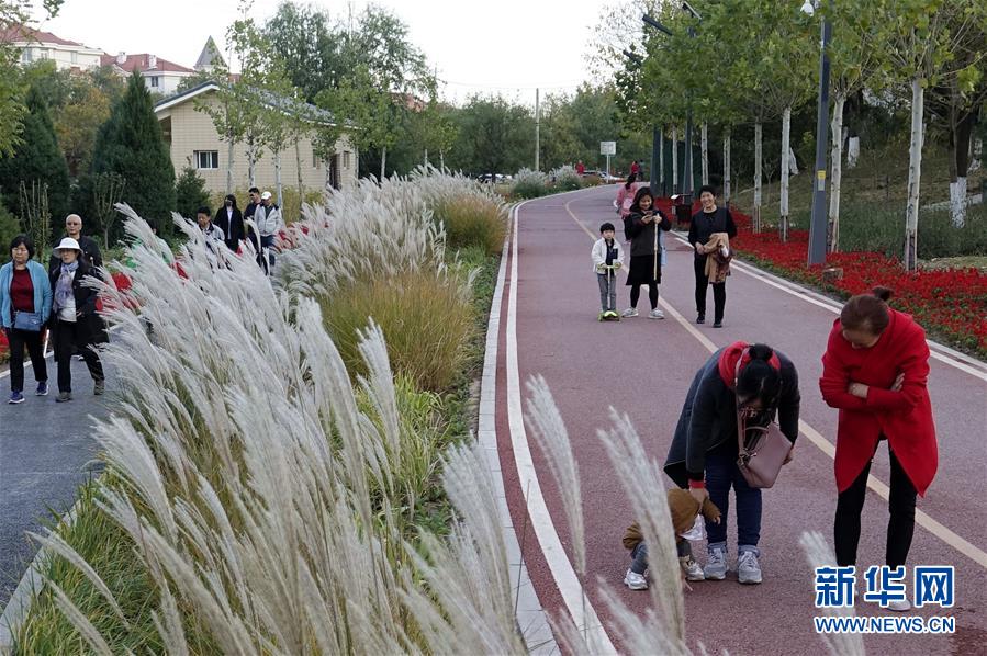 （新華全媒頭條&middot;圖文互動）（5）復蘇的河流&mdash;&mdash;北京涼水河再調查