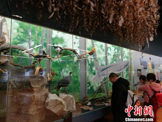 圖為展覽現(xiàn)場(chǎng)?！『h(yuǎn)航 攝