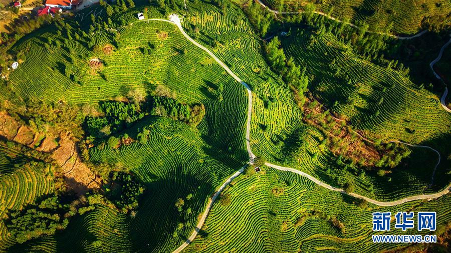 （兩會(huì)前夕看落實(shí)&middot;圖文互動(dòng)）（5）奮力脫貧攻堅(jiān) 生態(tài)追&ldquo;清&rdquo;逐&ldquo;綠&rdquo;&mdash;&mdash;江西落實(shí)習(xí)近平總書記全國兩會(huì)重要講話精神紀(jì)實(shí)