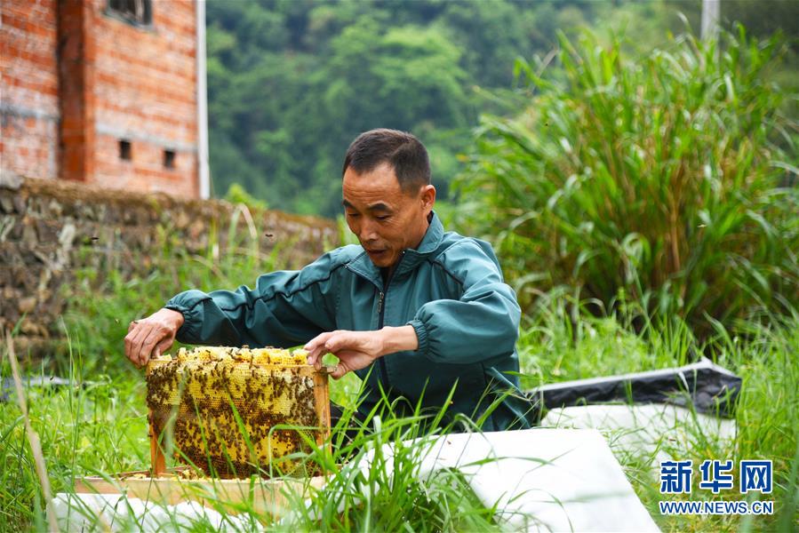 （兩會(huì)前夕看落實(shí)&middot;圖文互動(dòng)）（7）奮力脫貧攻堅(jiān) 生態(tài)追&ldquo;清&rdquo;逐&ldquo;綠&rdquo;&mdash;&mdash;江西落實(shí)習(xí)近平總書記全國兩會(huì)重要講話精神紀(jì)實(shí)
