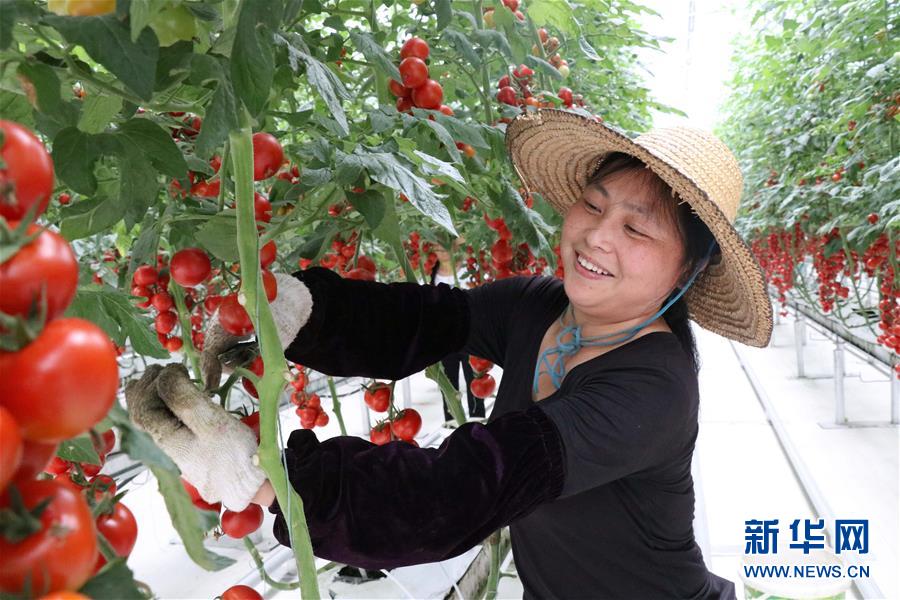 （兩會(huì)前夕看落實(shí)&middot;圖文互動(dòng)）（8）奮力脫貧攻堅(jiān) 生態(tài)追&ldquo;清&rdquo;逐&ldquo;綠&rdquo;&mdash;&mdash;江西落實(shí)習(xí)近平總書記全國兩會(huì)重要講話精神紀(jì)實(shí)