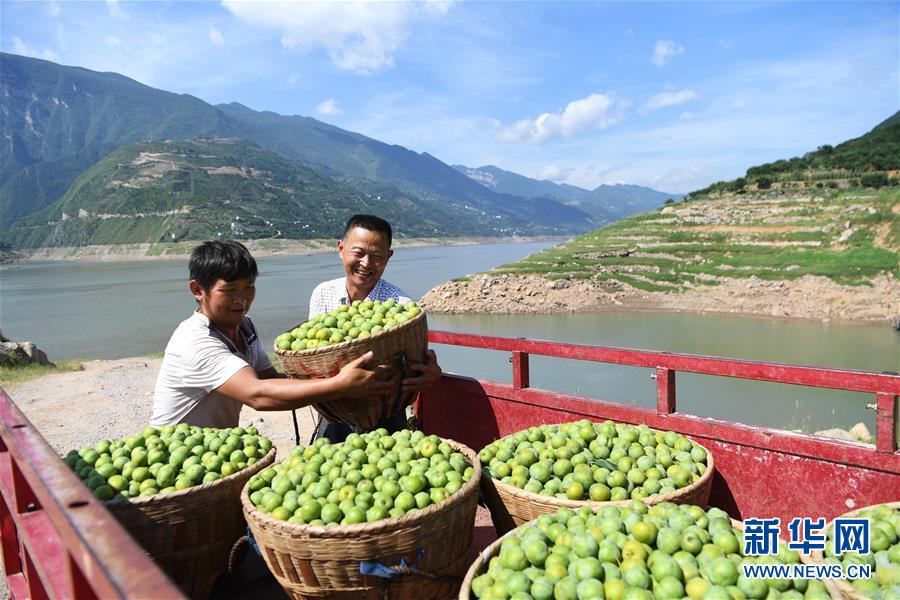（兩會(huì)前夕看落實(shí)&middot;圖文互動(dòng)）（4）春風(fēng)涌動(dòng)兩江潮&mdash;&mdash;重慶落實(shí)習(xí)近平總書記全國兩會(huì)重要講話精神紀(jì)實(shí)