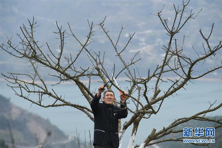 （兩會(huì)前夕看落實(shí)&middot;圖文互動(dòng)）（6）春風(fēng)涌動(dòng)兩江潮&mdash;&mdash;重慶落實(shí)習(xí)近平總書記全國兩會(huì)重要講話精神紀(jì)實(shí)