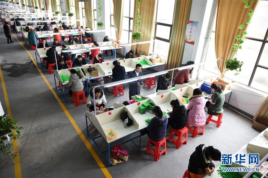 （在習(xí)近平新時(shí)代中國(guó)特色社會(huì)主義思想指引下&mdash;&mdash;新時(shí)代新作為新篇章&middot;圖文互動(dòng)）（5）&ldquo;搬遷到哪里，服務(wù)就延伸到哪里&rdquo;&mdash;&mdash;貴州推進(jìn)易地扶貧搬遷&ldquo;后半篇文章&rdquo; 