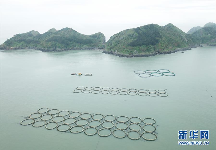 （壯麗70年&middot;奮斗新時代&middot;圖文互動）（2）&ldquo;東海明珠&rdquo;挺立一座&ldquo;精神燈塔&rdquo;&mdash;&mdash;追尋浙江臺州大陳島墾荒精神