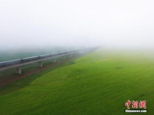 資料圖：動(dòng)車(chē)組穿越雨霧中的油菜花海宛若穿越時(shí)空。 楊艷敏 攝