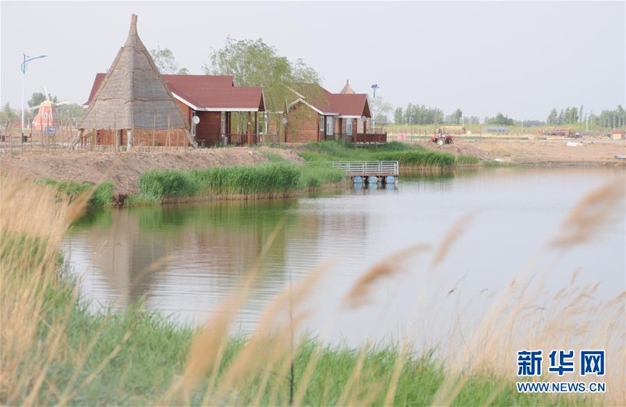 （北京世園會&middot;圖文互動）（4）&ldquo;百湖之鄉(xiāng)&rdquo;磴口縣再現生態(tài)田園風光