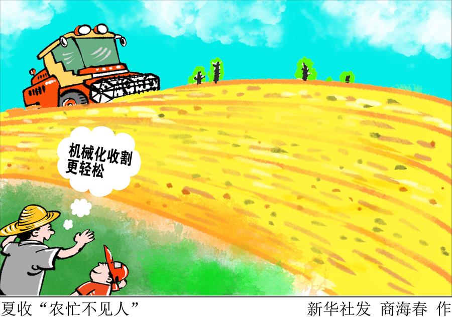 （圖表&middot;漫畫）[新華視點(diǎn)]夏收&ldquo;農(nóng)忙不見人&rdquo;