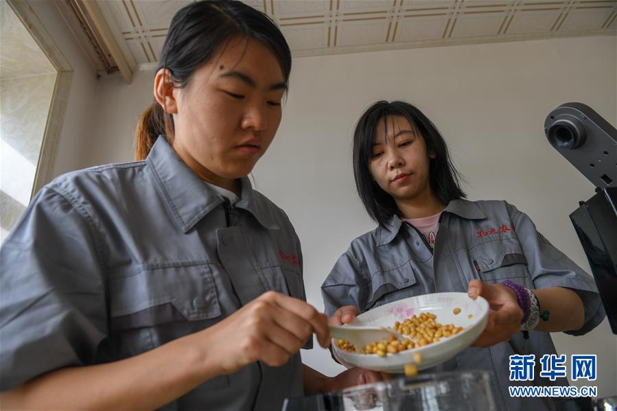 （在習(xí)近平新時(shí)代中國特色社會(huì)主義思想指引下&mdash;&mdash;新時(shí)代新作為新篇章&middot;圖文互動(dòng)）（3）大學(xué)生種田讓農(nóng)民&ldquo;老把式&rdquo;開了眼&mdash;&mdash;吉林長白山下的稻田新事