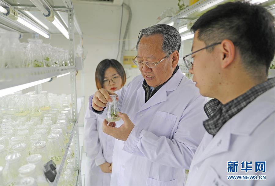 （新華全媒頭條&middot;圖文互動(dòng)）（1）和蔬菜&ldquo;說話&rdquo;的人&mdash;&mdash;中國工程院院士李天來的&ldquo;棚菜人生&rdquo;