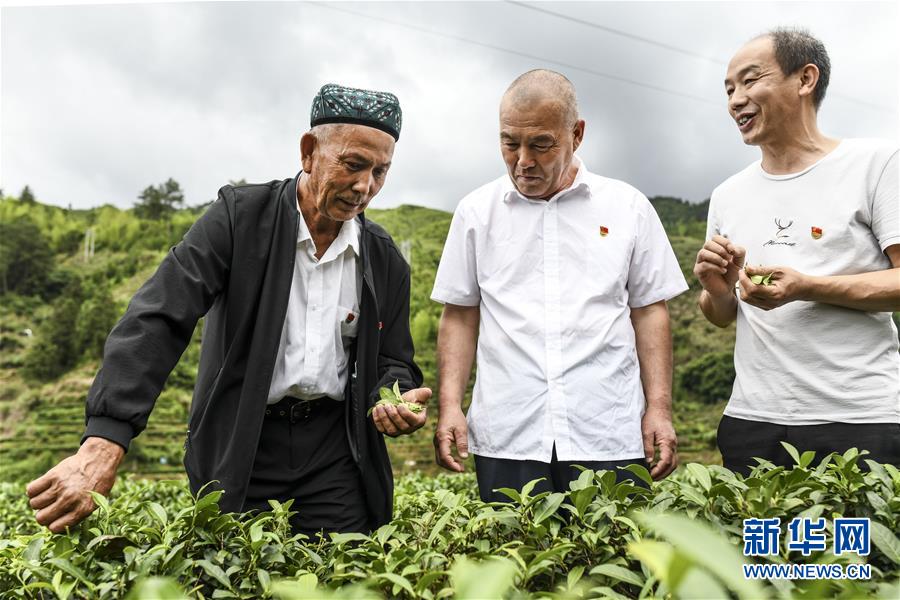 （新華全媒頭條&middot;圖文互動）（7）同心援疆，&ldquo;壯闊&rdquo;祖國西北角