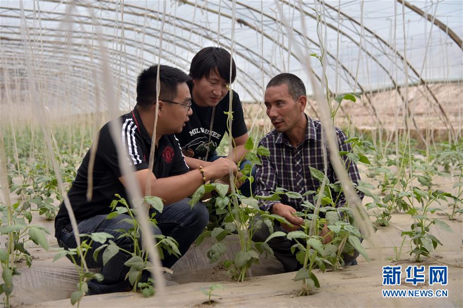 （新華全媒頭條&middot;圖文互動）（10）同心援疆，&ldquo;壯闊&rdquo;祖國西北角