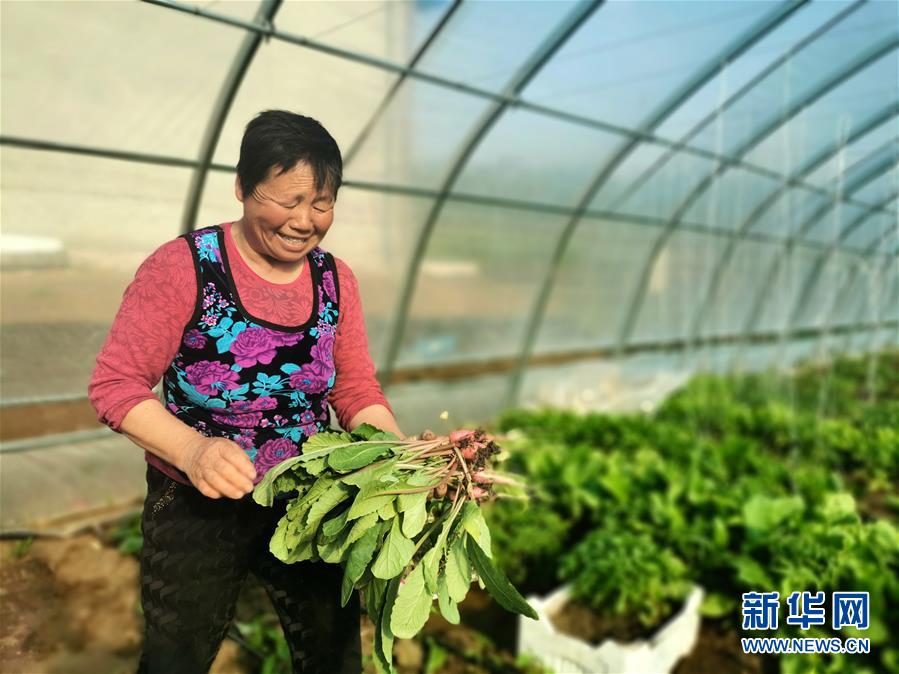 （圖文互動）（3）（在習(xí)近平新時代中國特色社會主義思想指引下&mdash;&mdash;新時代新作為新篇章）&ldquo;團(tuán)結(jié)&rdquo;振興團(tuán)結(jié)村&mdash;&mdash;黑龍江拜泉縣團(tuán)結(jié)村凝聚民心攻堅脫貧