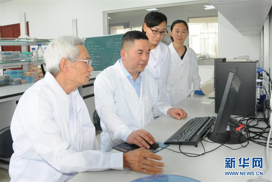 （愛(ài)國(guó)情 奮斗者&middot;圖片互動(dòng)）（1）張永平：像打造&ldquo;中國(guó)芯&rdquo;一樣打造&ldquo;中國(guó)葵&rdquo;