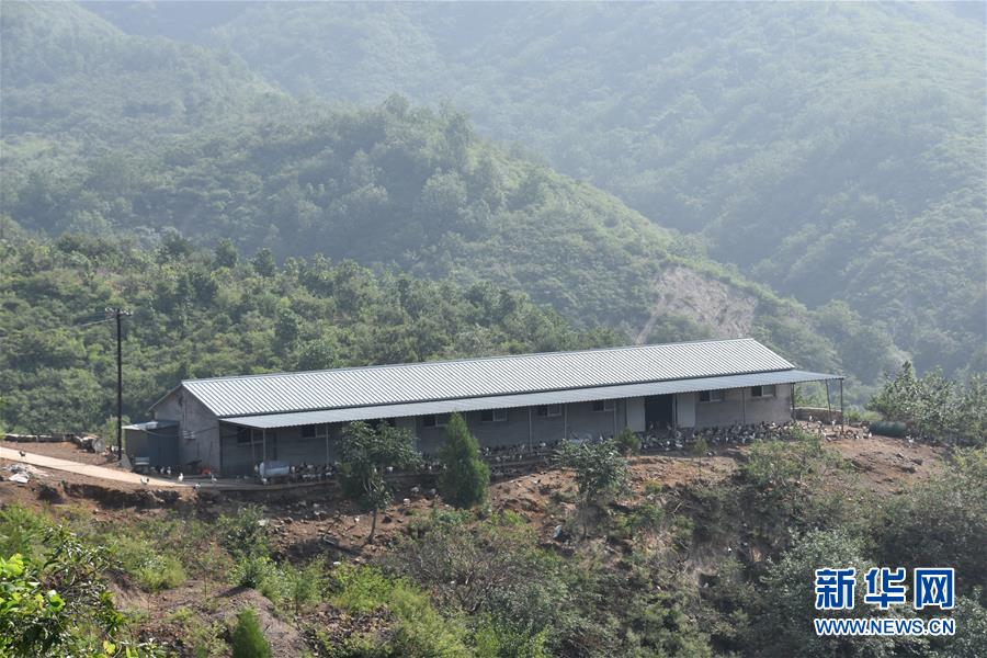 （圖文互動(dòng)）（2）&ldquo;退休創(chuàng)客&rdquo;的山鄉(xiāng)致富&ldquo;合作社&rdquo;