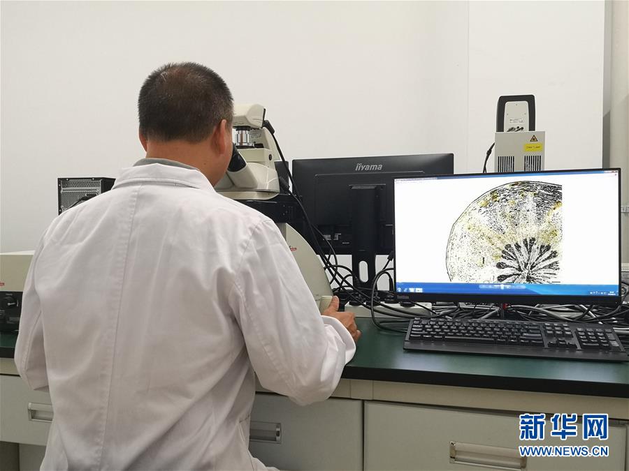 （新華調(diào)查&middot;新中國考古重大發(fā)現(xiàn)&middot;圖文互動）（5）?；韬睿翰粌H僅是&ldquo;黃金大墓&rdquo;