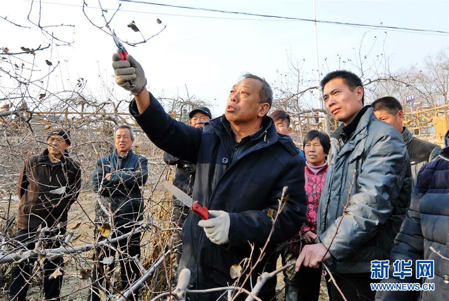 （壯麗70年&middot;奮斗新時代&mdash;&mdash;共和國榮光&middot;圖文互動）（2）太行山上的新愚公&mdash;&mdash;記&ldquo;人民楷模&rdquo;國家榮譽稱號獲得者李保國