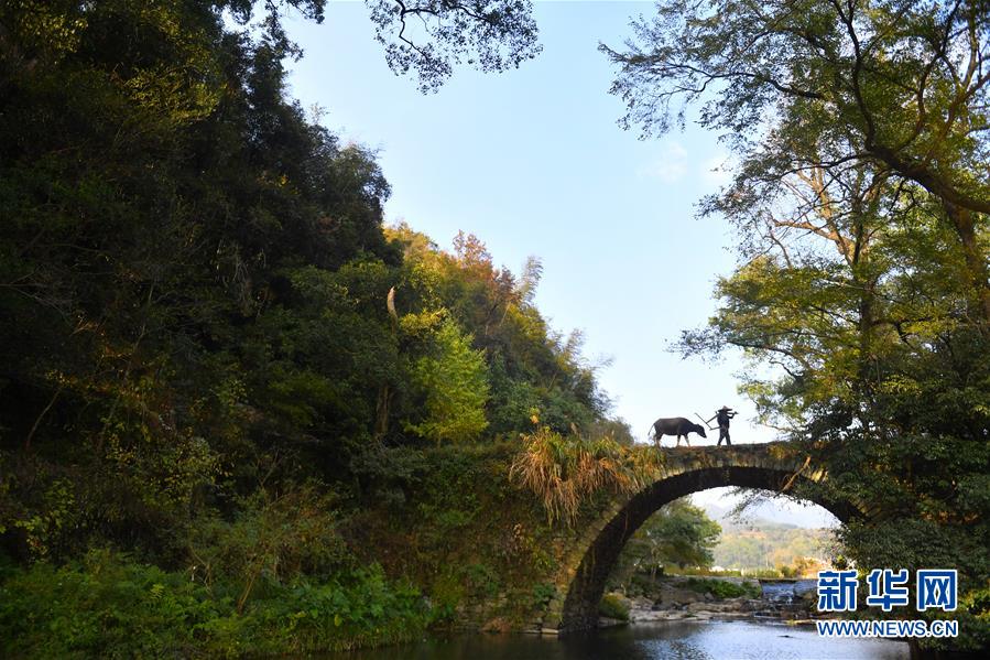 （圖文互動）（3）鄉(xiāng)村攝影師、鄉(xiāng)村&ldquo;模特&rdquo;、民宿店主&mdash;&mdash;鄉(xiāng)村旅游推動婺源農(nóng)民生活方式發(fā)生新變化