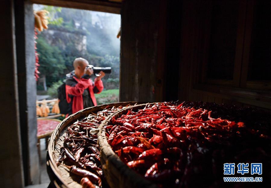 （圖文互動）（6）鄉(xiāng)村攝影師、鄉(xiāng)村&ldquo;模特&rdquo;、民宿店主&mdash;&mdash;鄉(xiāng)村旅游推動婺源農(nóng)民生活方式發(fā)生新變化